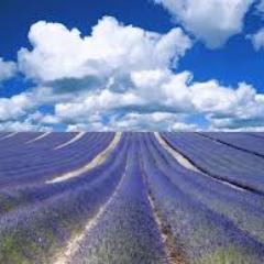 As long as we identify ourselves only as a product of this material existence, there can be no real peace.- Radhanath Swami