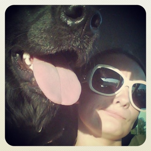 Wife; Mother; Crazy Dog Lady