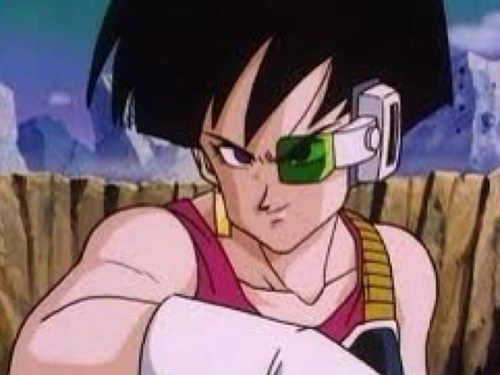 I'm a Saiyan solider. Bardock's Crew member. Comrades are Bardock, Tora, Borgos, shugesh .  //RP Parody\\