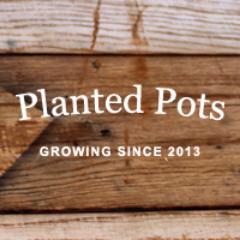 We are currently located in beautiful Chattanooga, Tennessee and provide a host of unique arrangements, planted in modern & vintage jars, pots, and terrariums.