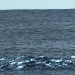 Ajuar_Anas's profile picture. Orang2 hebat tidak dihasilkan secara instan, tetapi melalui pembentukan karakter yang tidak mudah