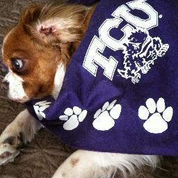 TCU alumni. TCU / Cowboy football. Obsessed with all things TCU and Fort Worth. Apparently, I have the ability to flatter men but not enough to date them.