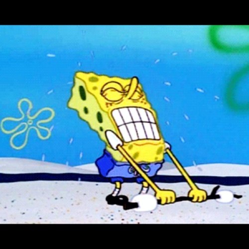 StrugglinFittie's profile picture. Do you have a hard time choosing between being skinny and eating your third cupcake? We feel your pain.