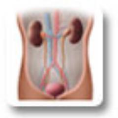 CNUS encompasses research in Nephrology and Urology covering etiology, diagnosis and treatment in Kidney and Urinary system related diseases and disorders