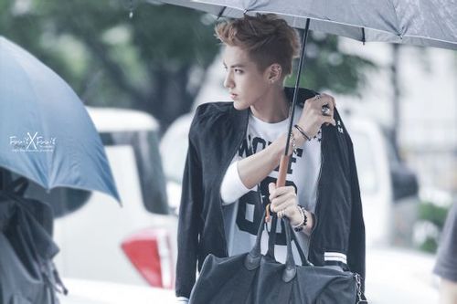 Silicate1106's profile picture. love exo :)