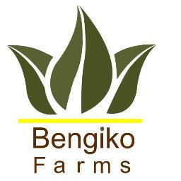 Growers, Processors,Packers, Of All Cereal Crops For Export AND Local Markets .
info@bengikofarms.co.ug.