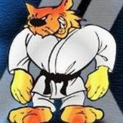 Judo champions factory since 1991.