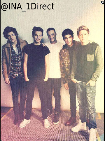 We are support 1D @zaynmalik @Real_Liam_Payne @Louis_Tomlinson @Harry_Styles @Niallofficial they are One Direction| We are Directioners INDONESIA!