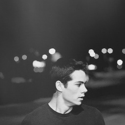 i am dangerously in love with Dylan O'Brien
