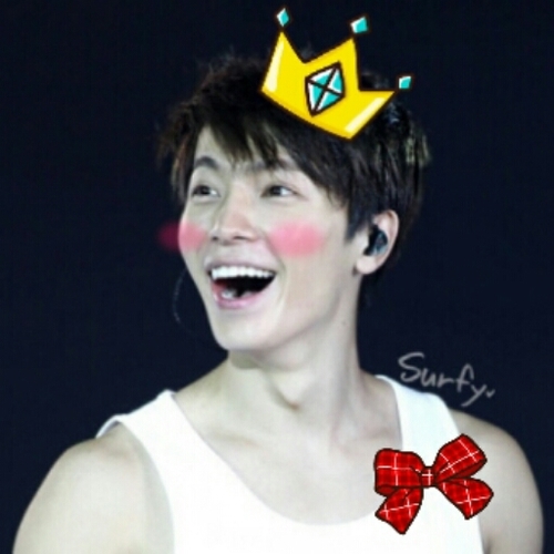 ♥SJ+ELF | dongek LOVE!! | acc for fangirling
