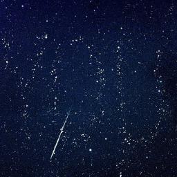 HowlsSeptember's profile picture. 