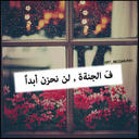 ali (@0019951) Twitter