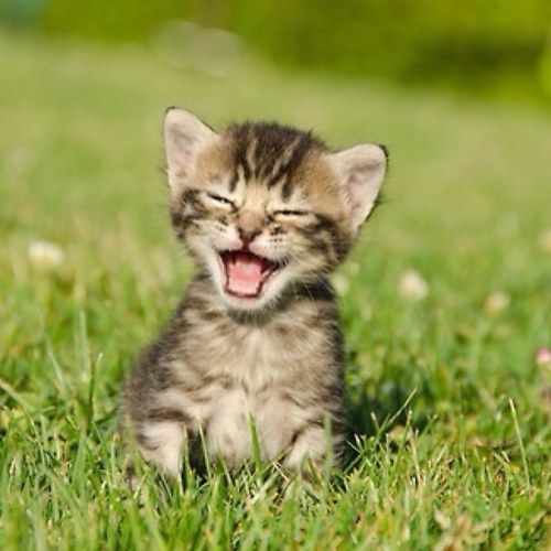 baleriexzc's profile picture. 