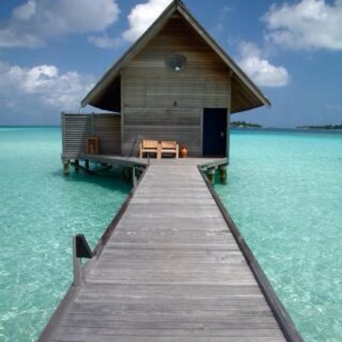 DignaDignazio's profile picture. 