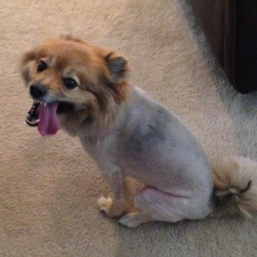 DJSMAKC's profile picture. 