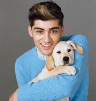 I Just love One Direction