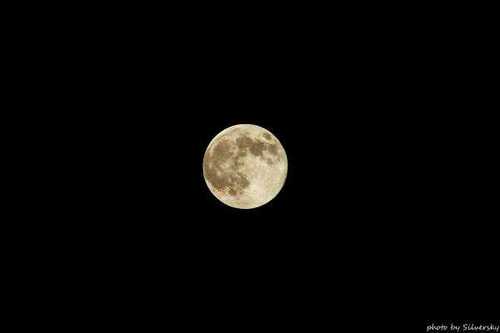 yuria_han's profile picture. 계정이동 @abcd_333