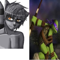 shadow the hedgehog  #single Donatello tmnt #taken by the lovely @Taylakostadino1
