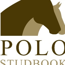 Polo Studbook (PSB) has been created in the UK to establish the breed and enhance the quality and value of the polo pony.