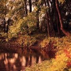 To be wronged is nothing unless you continue to remember it.-Confucius