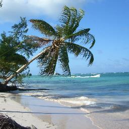 Real Estate , vente location immobiliere, Excursions .....
Plages de reve.... Le reve peut devenir realite.....venez....approuver