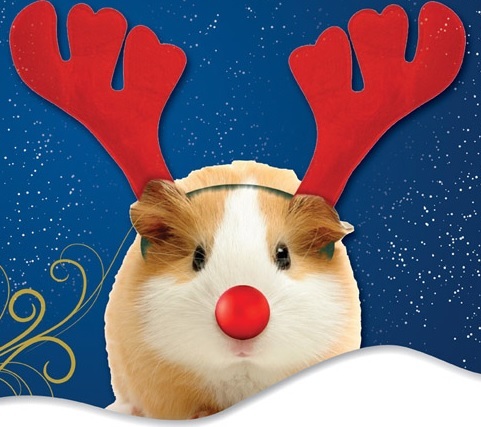 Just love Christmas :)