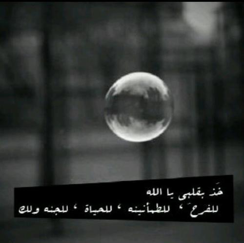 Al_NooRi_0001's profile picture. 