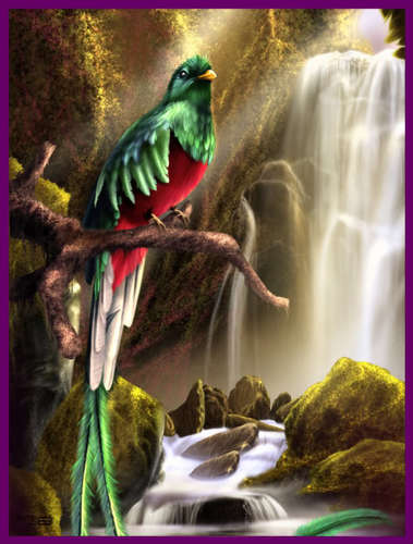 hablaGuatemala's profile picture. Hasta que remonte s.u vuelo