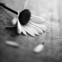 Cristy (@mckrautz) 's Twitter Profile Photo