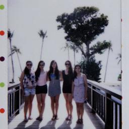 thetamaradesert's profile picture. if you give me food, you will have my eternal love.