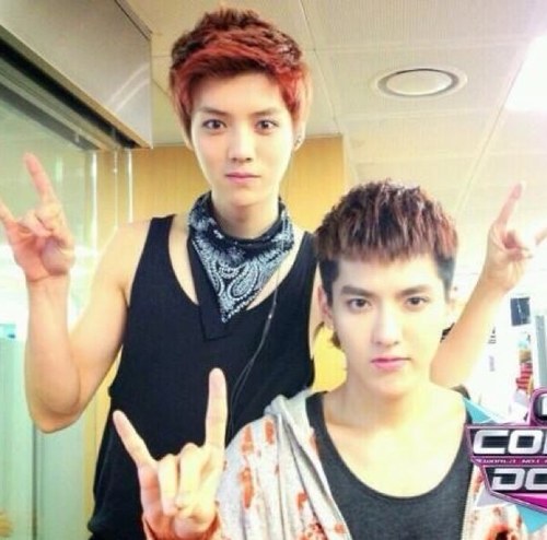 Hello~ I'm kris from exo-m.I'm just bot not real. (follow back bot) please follow me. thank you :) 5/04/56 #QK_botfam