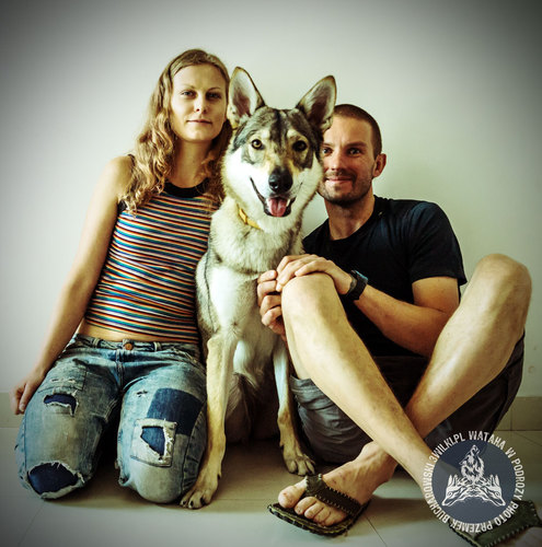 O podróżowaniu z Diuną na koniec świata/About travelling with dog.