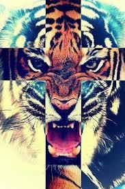 One direction y Justin Bieber:D,Me gusta Jugar Futbol