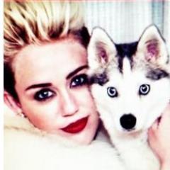 Twitter dedicated to perfection of Miley. @MileyCyrus you are princess ... Follow me and I follow back