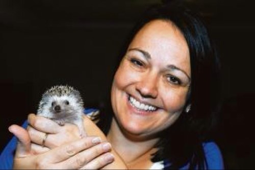 U.K. breeder of African PygmyHedgehogs for 10 years. based in Basildon, Essex. Happy to take enquiries relating to APH's