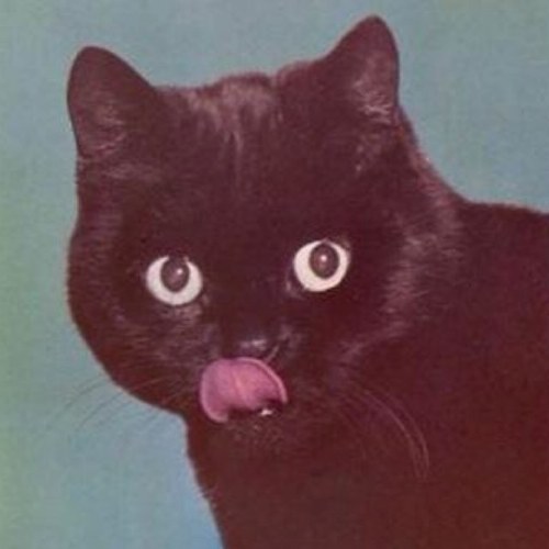 Funny Pictures everywhere!