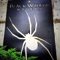 Black Widow Winery - @BlackWidowWine Twitter Profile Photo