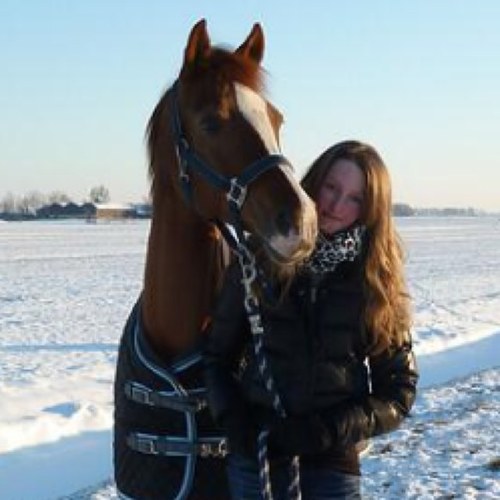 Wij zijn de leukste pony tweets!!
Dus volg ons en doe mee aan de ava en header wedstrijden!!! Volg ons!!