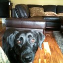 Dean Baird - @halbardean - Twitter