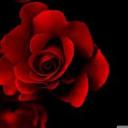 Allen saad - @allensaad1991 - Twitter