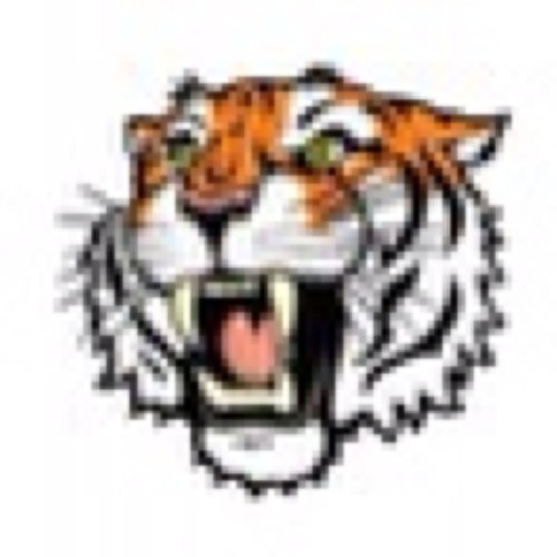 Widnes Tigers ARLFC was founded in 1971 making it one of the oldest clubs currently playing in the Town