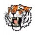 Widnes Tigers ARLFC (@widnestigersarl) Twitter profile photo
