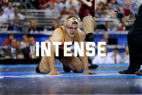 A lover of Wrestling! #WrestlingFamily Wrestling is the greatest sport. #SaveOlympicWrestling
