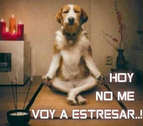Tengo cara de ángel pero esperate a descubrir lo que el diablo me enseño ;-)