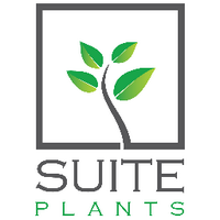 Suite Plants(@SuitePlants) 's Twitter Profile Photo