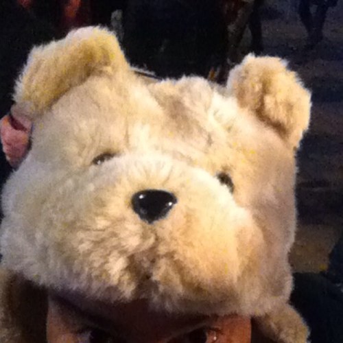 Bear 🐻 looking for buddies | RT != Endrs | 🔞