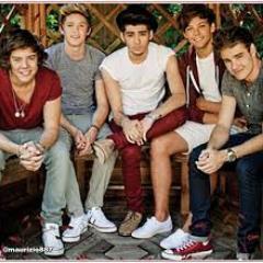 We have been directioners from the start and we always will be Niall, Harry, Liam, Louis, Zayn