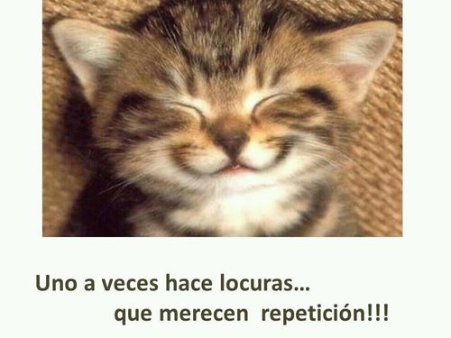 VIVE...RESPETA Y SE FELIZ.