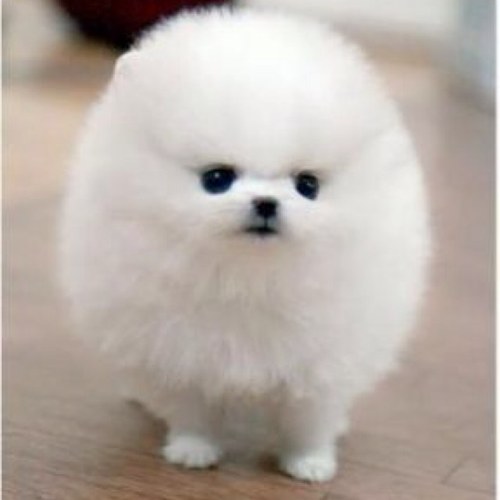 ss0722sm's profile picture. はじめまして