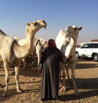 حساب مخصص لمنقيه الشيخ / ثلاب السبيعي (رمانات سبيع)
Instagram : rmanatsube3